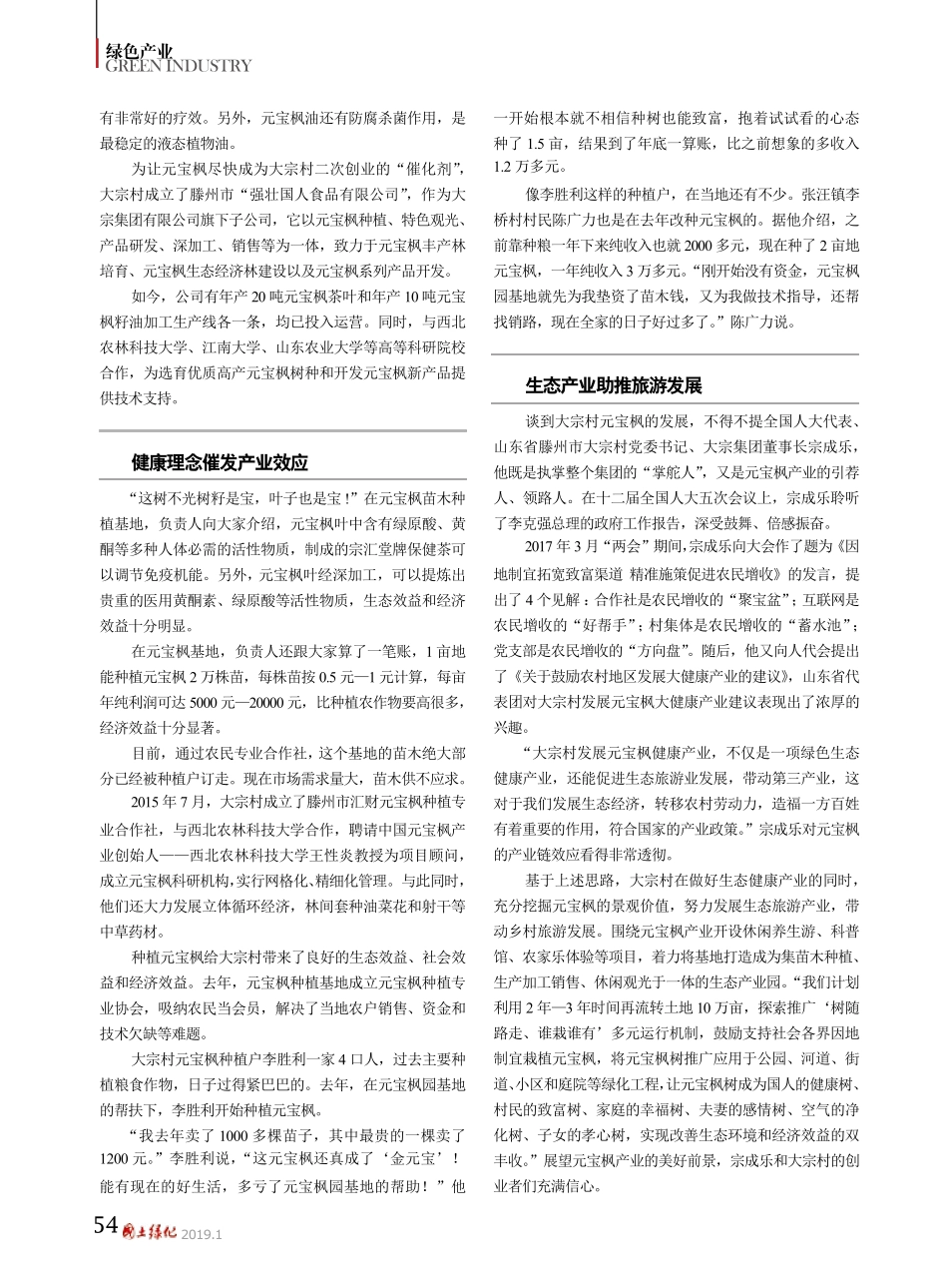 山东省滕州市张汪镇大宗村发展元宝枫产业纪实 _第2页