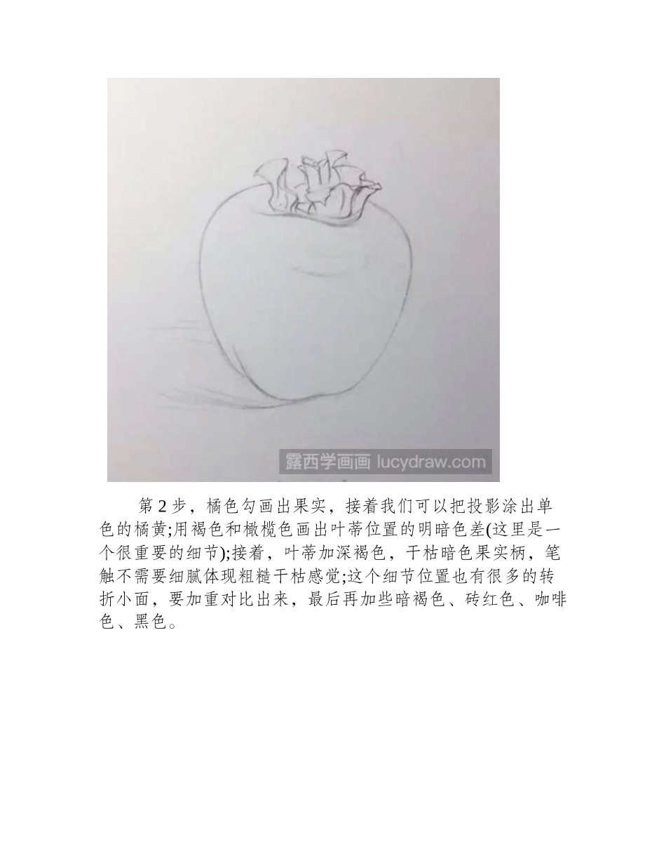 柿子彩铅画教程彩铅画教程_第2页