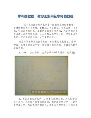 水彩画教程：教你画紫荆花水彩画教程