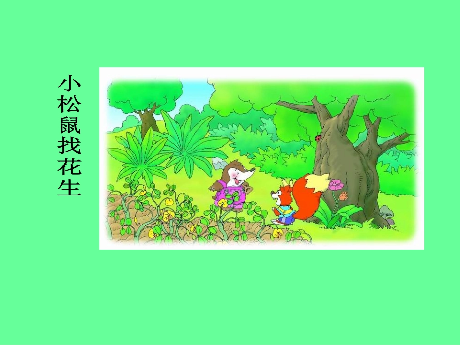 小松鼠找花生课件 (2)_第1页