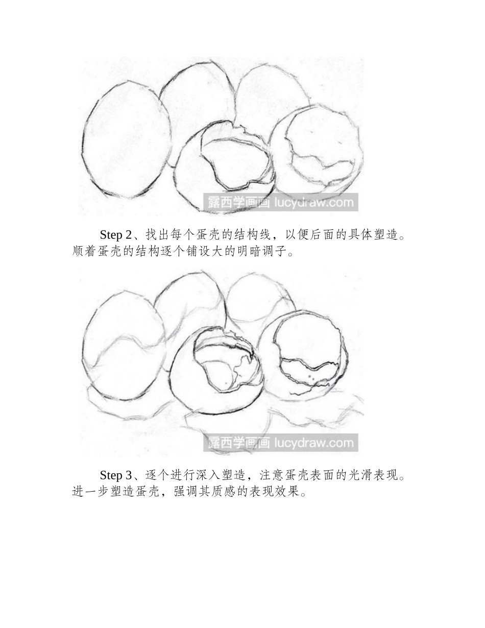 素描蛋壳的绘画步骤素描教程_第2页