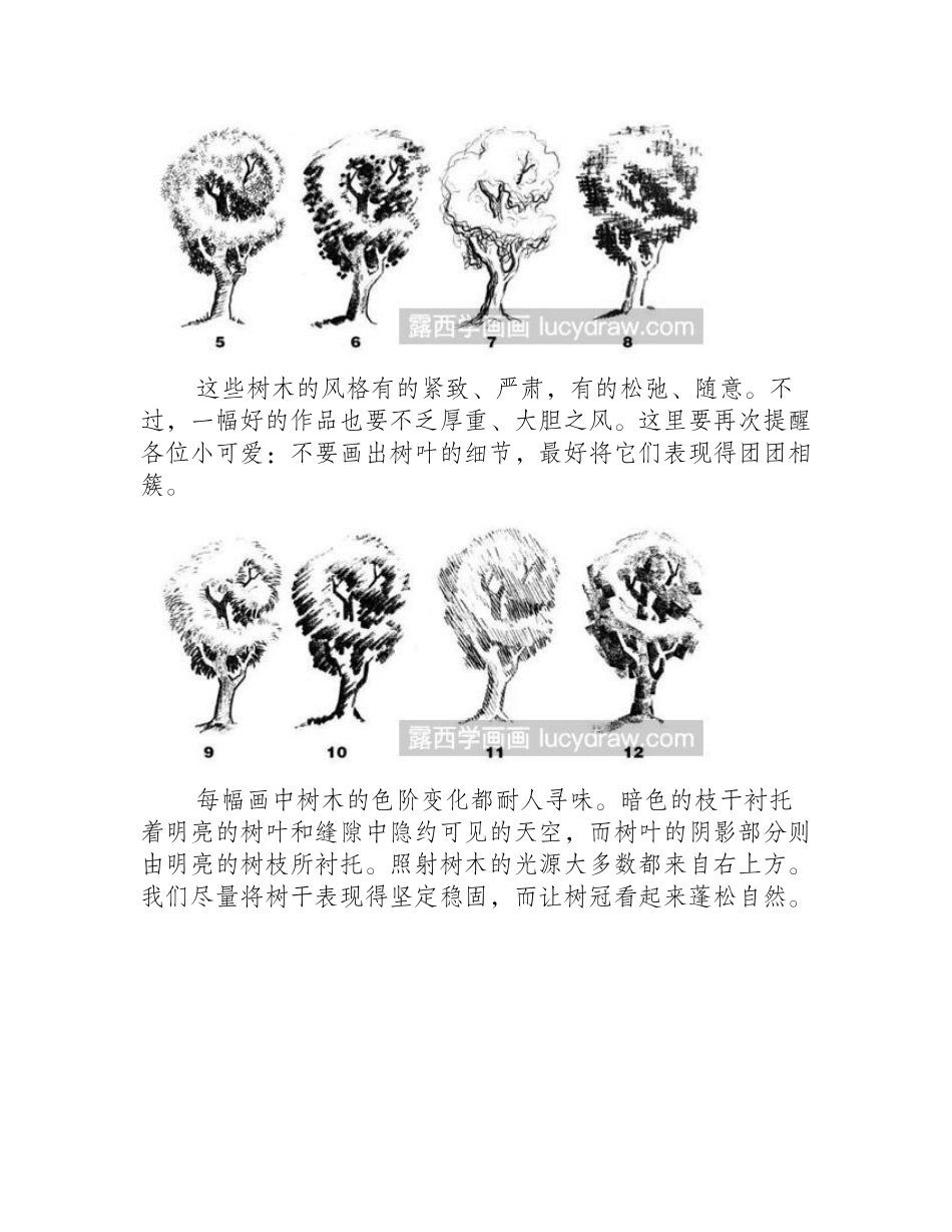 素描树的画法素描教程2_第2页