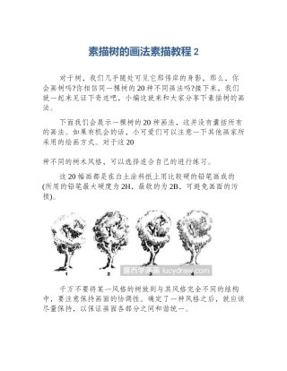 素描树的画法素描教程2