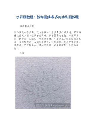 水彩画教程：教你画梦椿.多肉水彩画教程