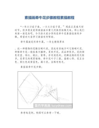 素描画牵牛花步骤教程素描教程