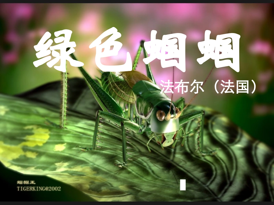 法布尔《绿色蝈蝈》课件_第1页