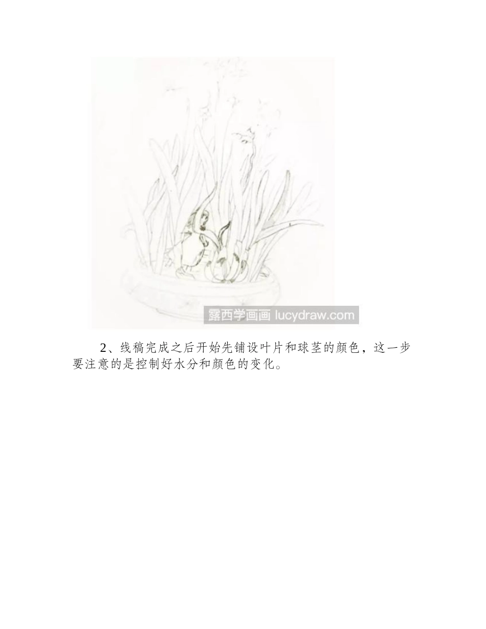 水仙花怎么画_水仙里的小仙子插画步骤有哪些_插画教程_第2页
