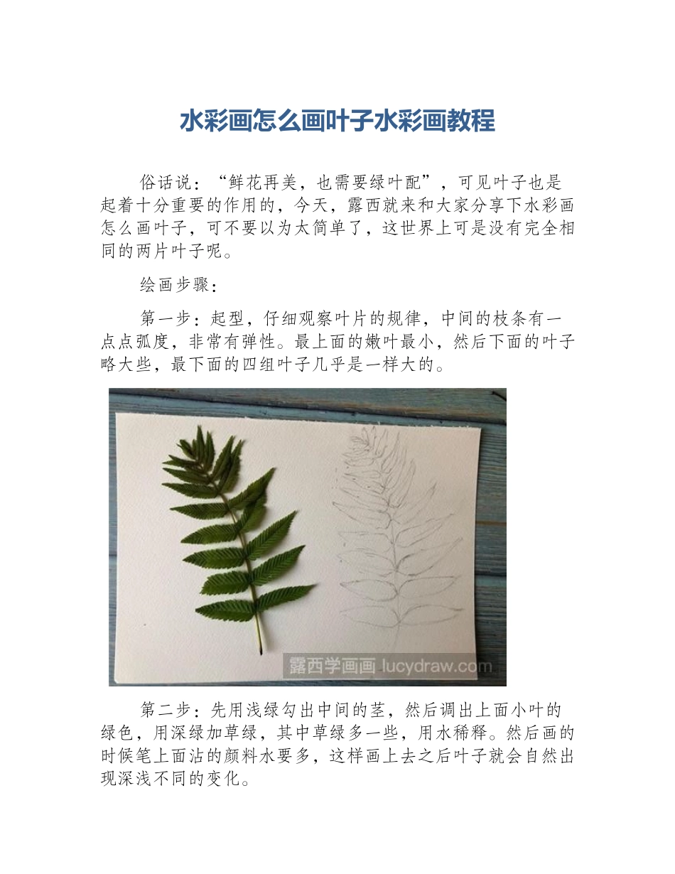 水彩画怎么画叶子水彩画教程_第1页