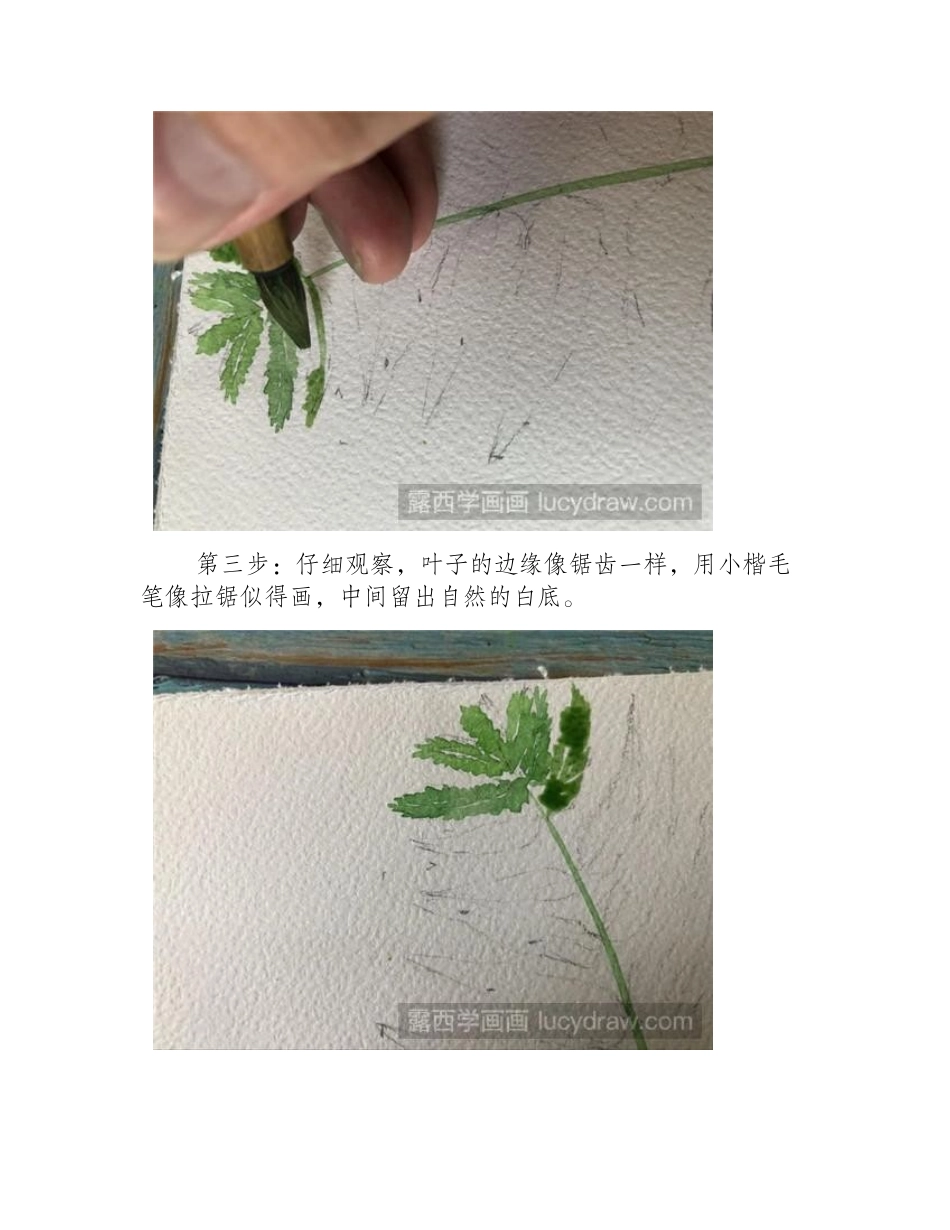 水彩画怎么画叶子水彩画教程_第2页