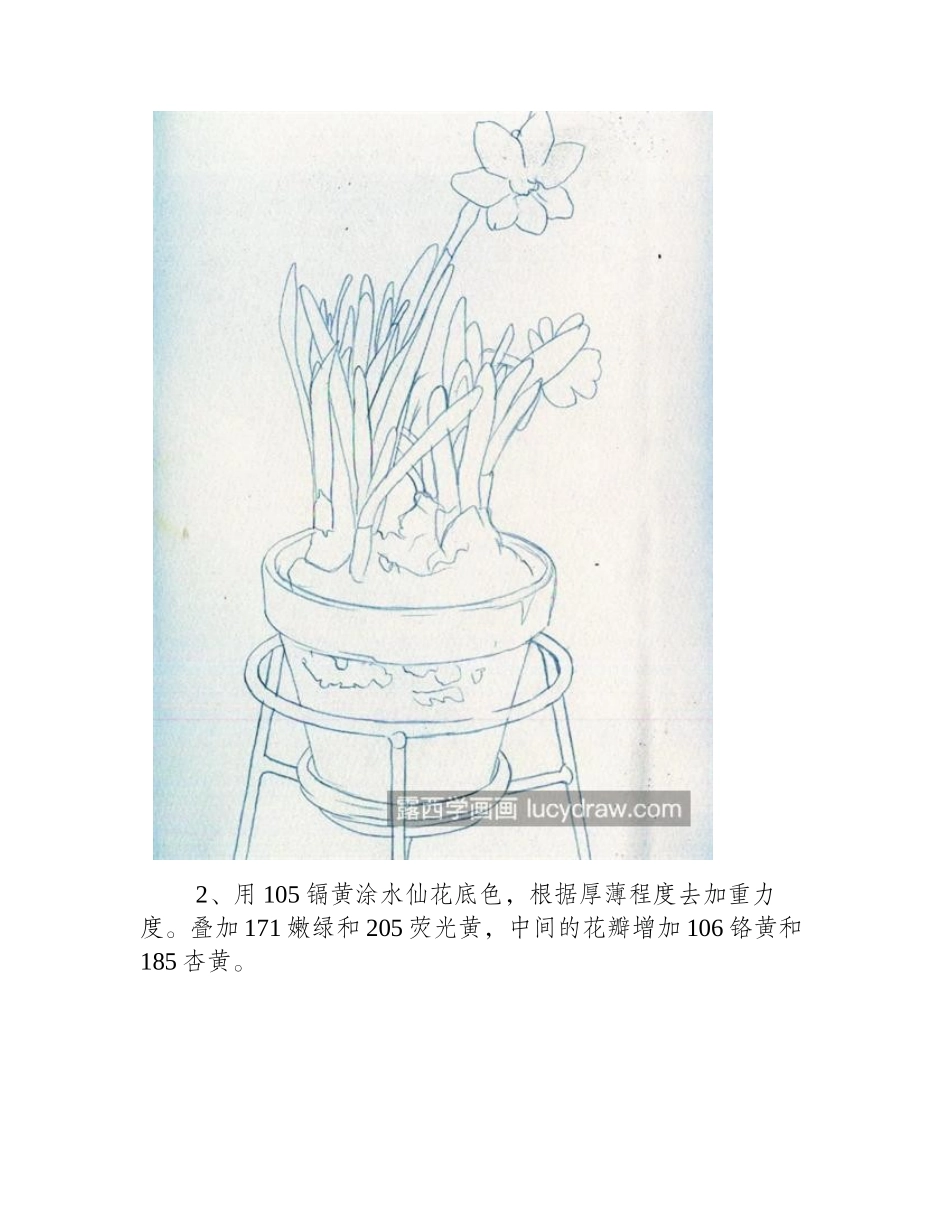 水仙盆栽怎么画_详细的彩铅画法是什么_彩铅画教程_第2页