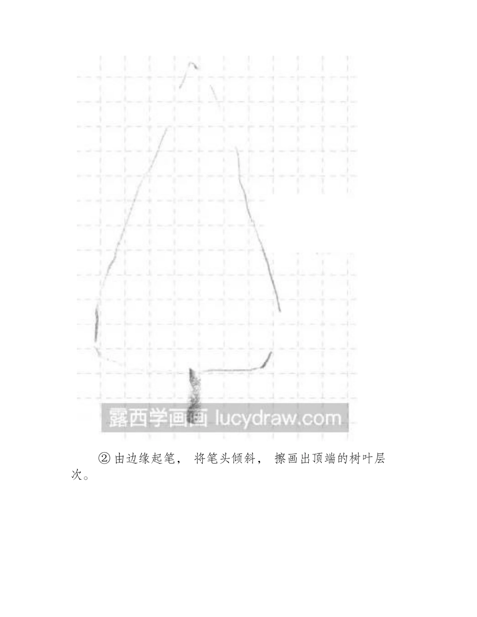 速写杉树的画法速写教程_第2页