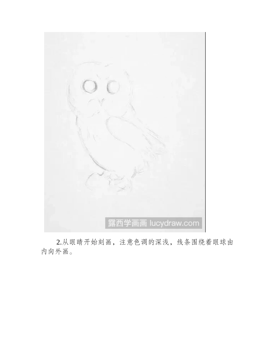 素描教程：猫头鹰的素描画法素描教程_第2页