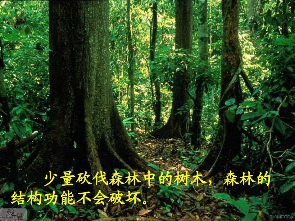 生态系统的稳定性_第2页