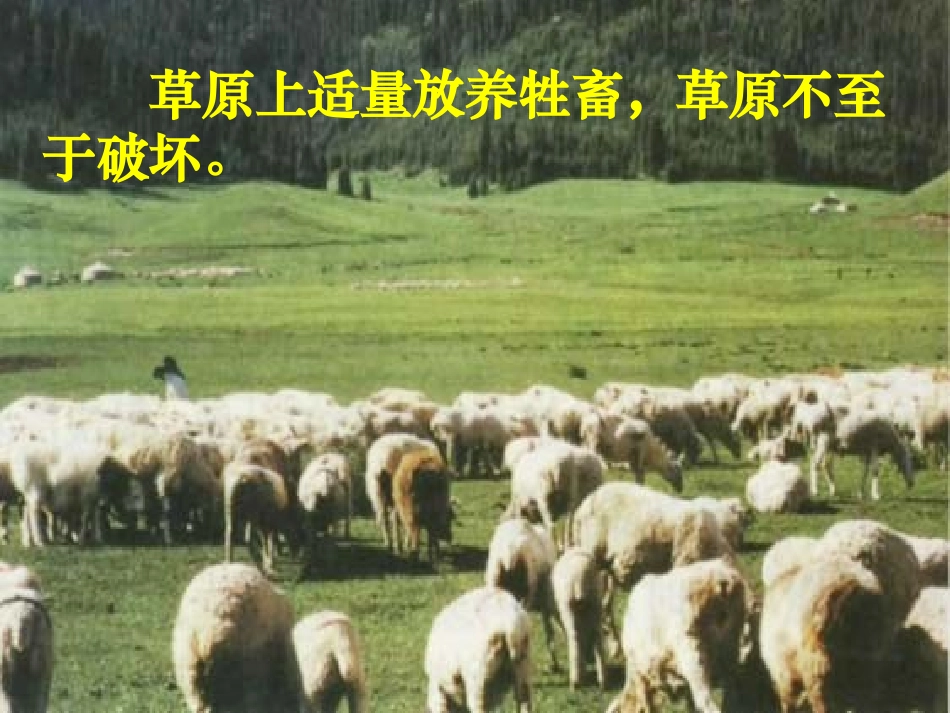 生态系统的稳定性_第3页
