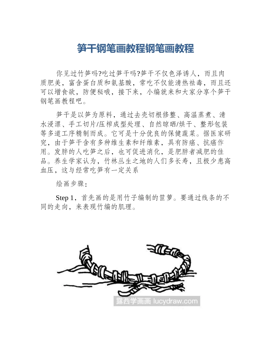 笋干钢笔画教程钢笔画教程_第1页