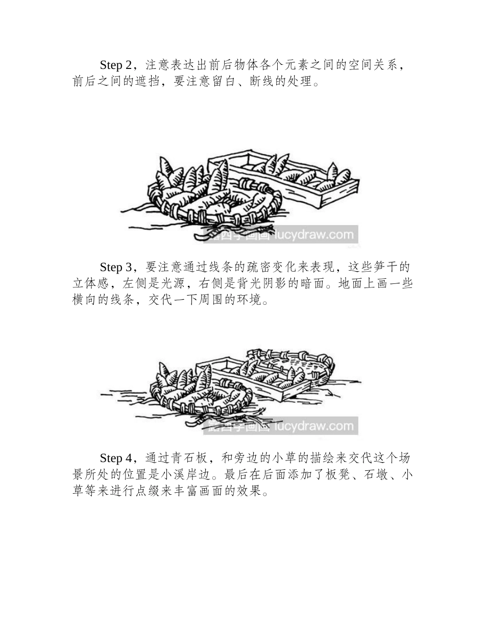 笋干钢笔画教程钢笔画教程_第2页
