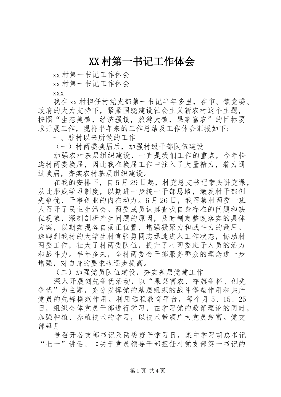 XX村第一书记工作体会 _第1页
