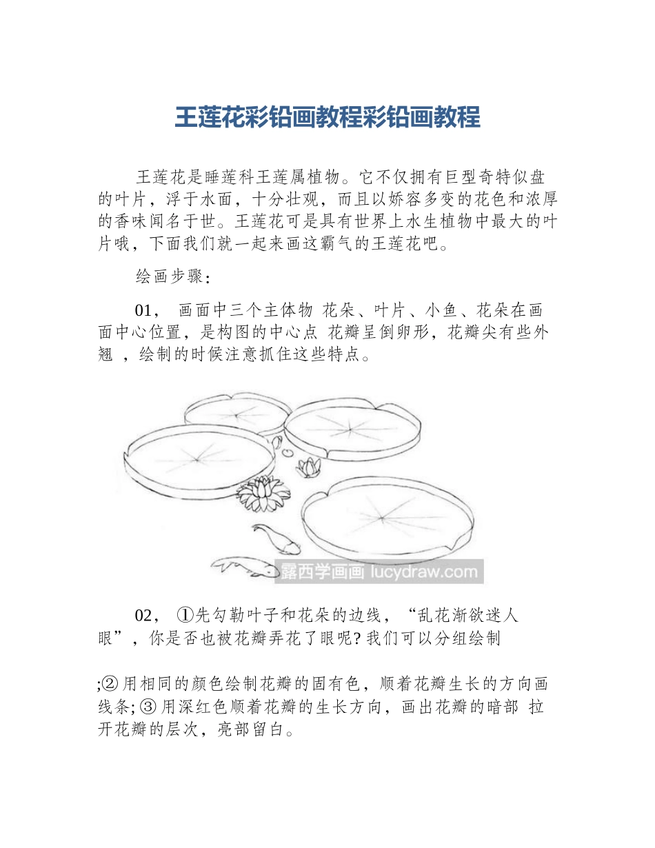 王莲花彩铅画教程彩铅画教程_第1页