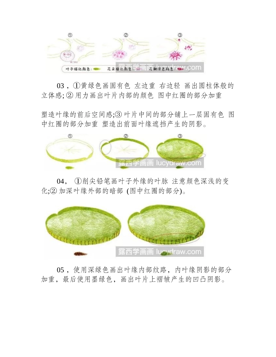 王莲花彩铅画教程彩铅画教程_第2页