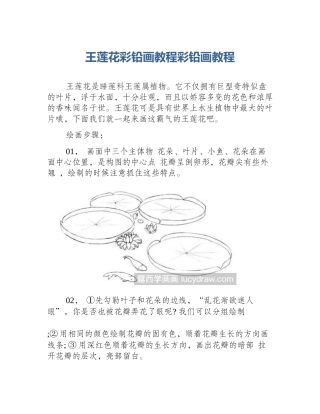 王莲花彩铅画教程彩铅画教程