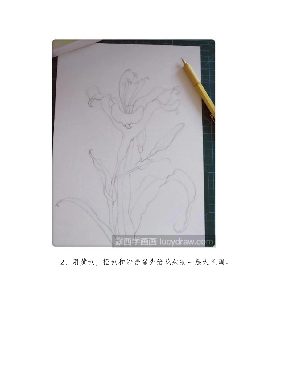 水彩画萱草怎么画水彩画教程1_第2页