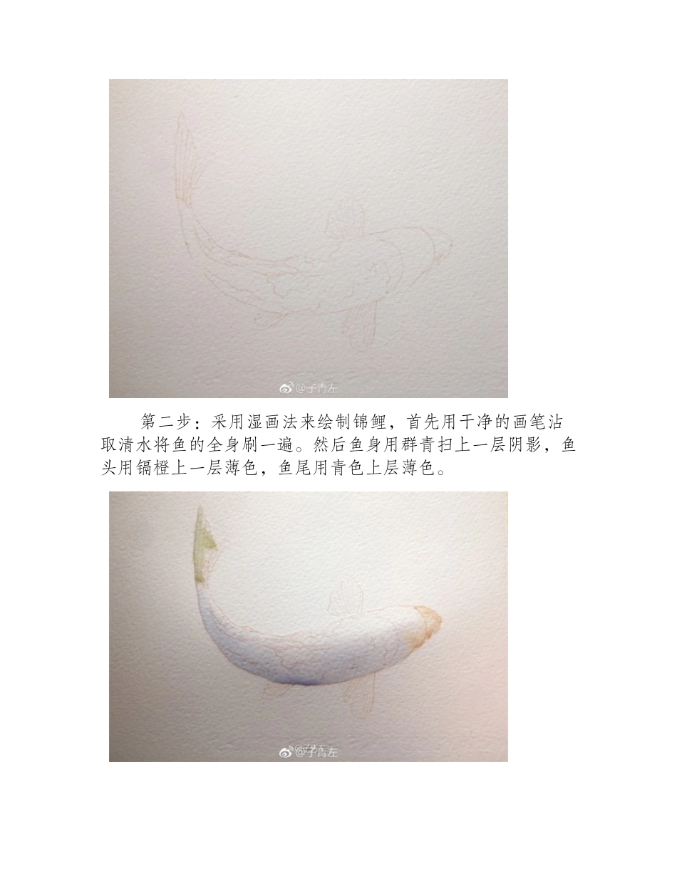 水彩画教程：水彩画锦鲤的画法水彩画教程1_第2页