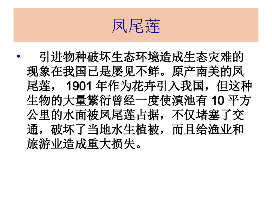 《生物入侵者》PPT课件_第3页