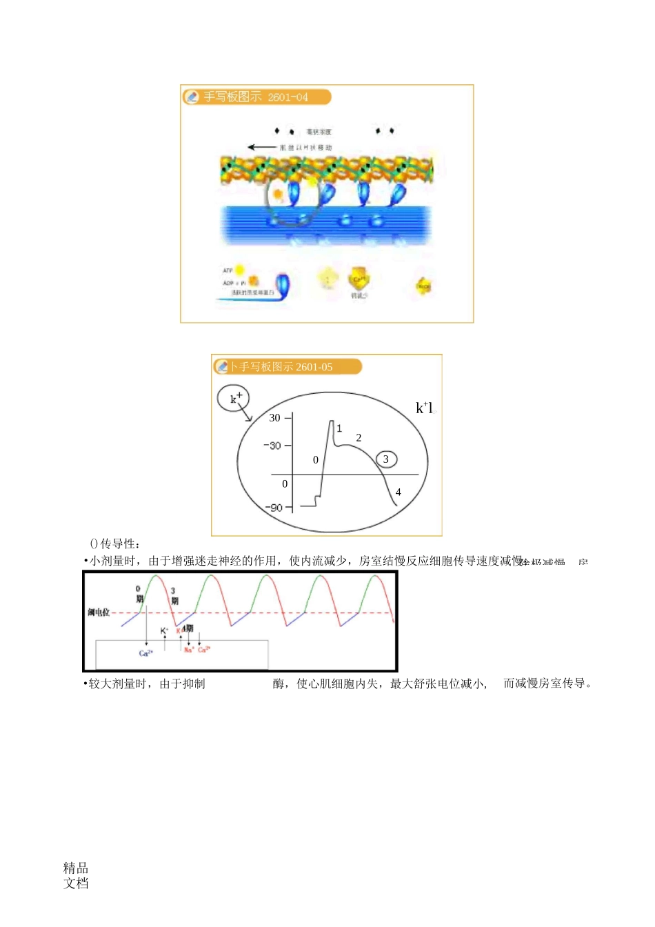抗心力衰竭药_第2页
