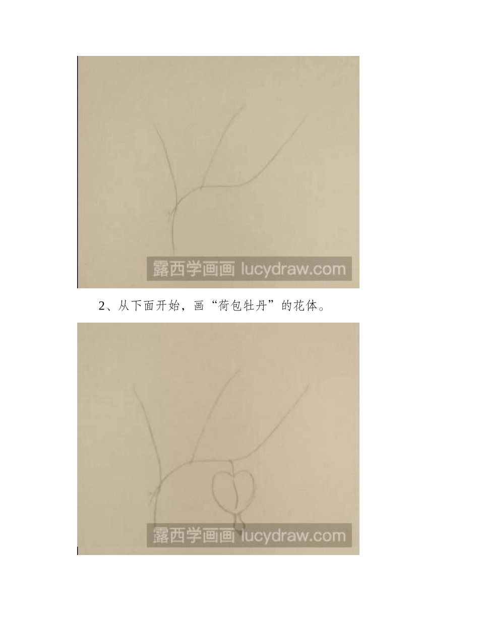 手绘荷包牡丹教程简笔画教程_第2页