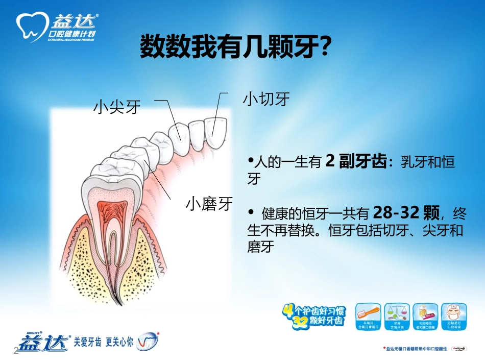口腔健康教育课件（供教师上课使用）_第2页