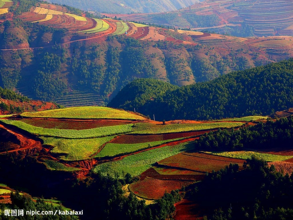 云南的歌会(课件)_第2页