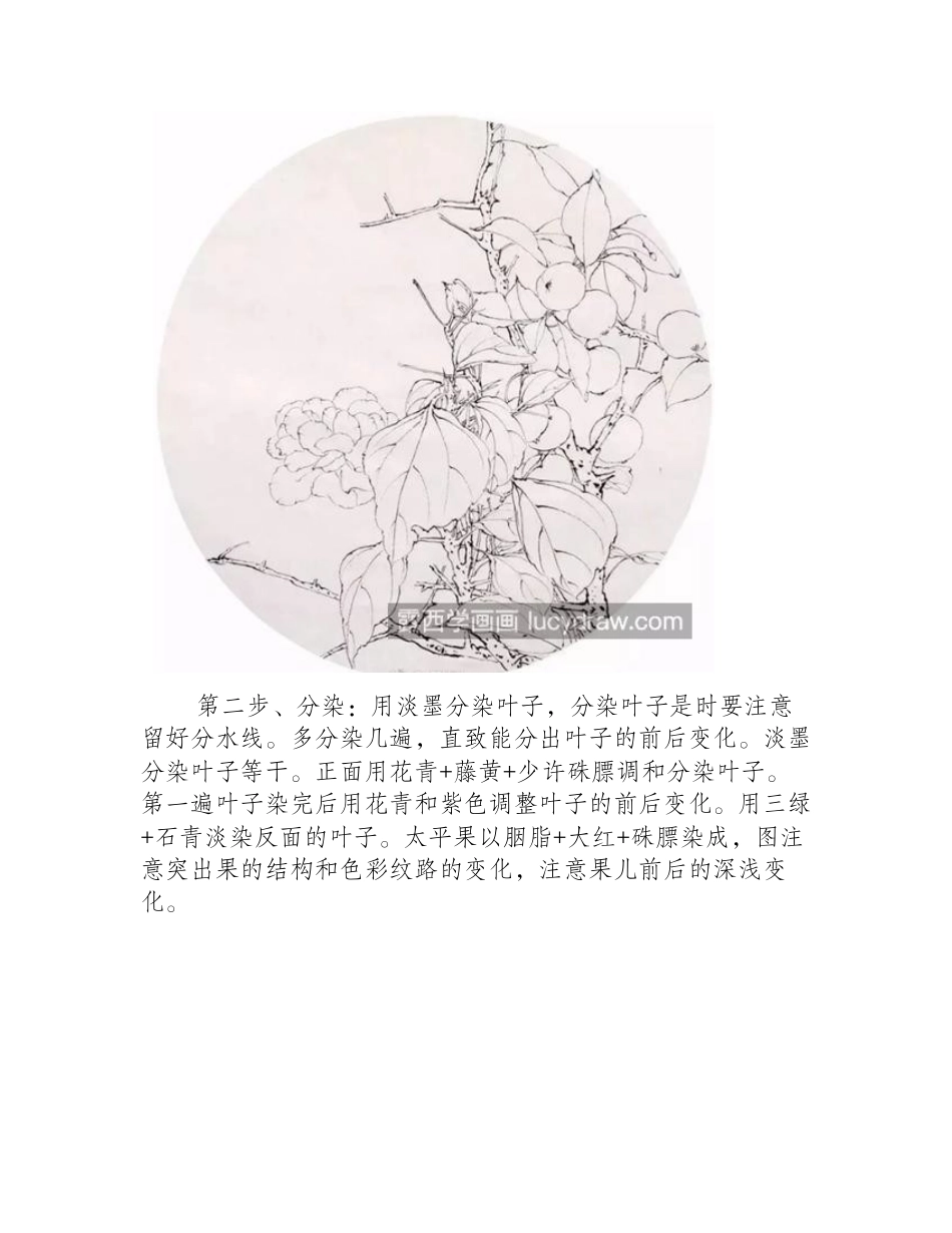 桃子怎么画_有哪些工笔步骤_工笔画教程_第2页
