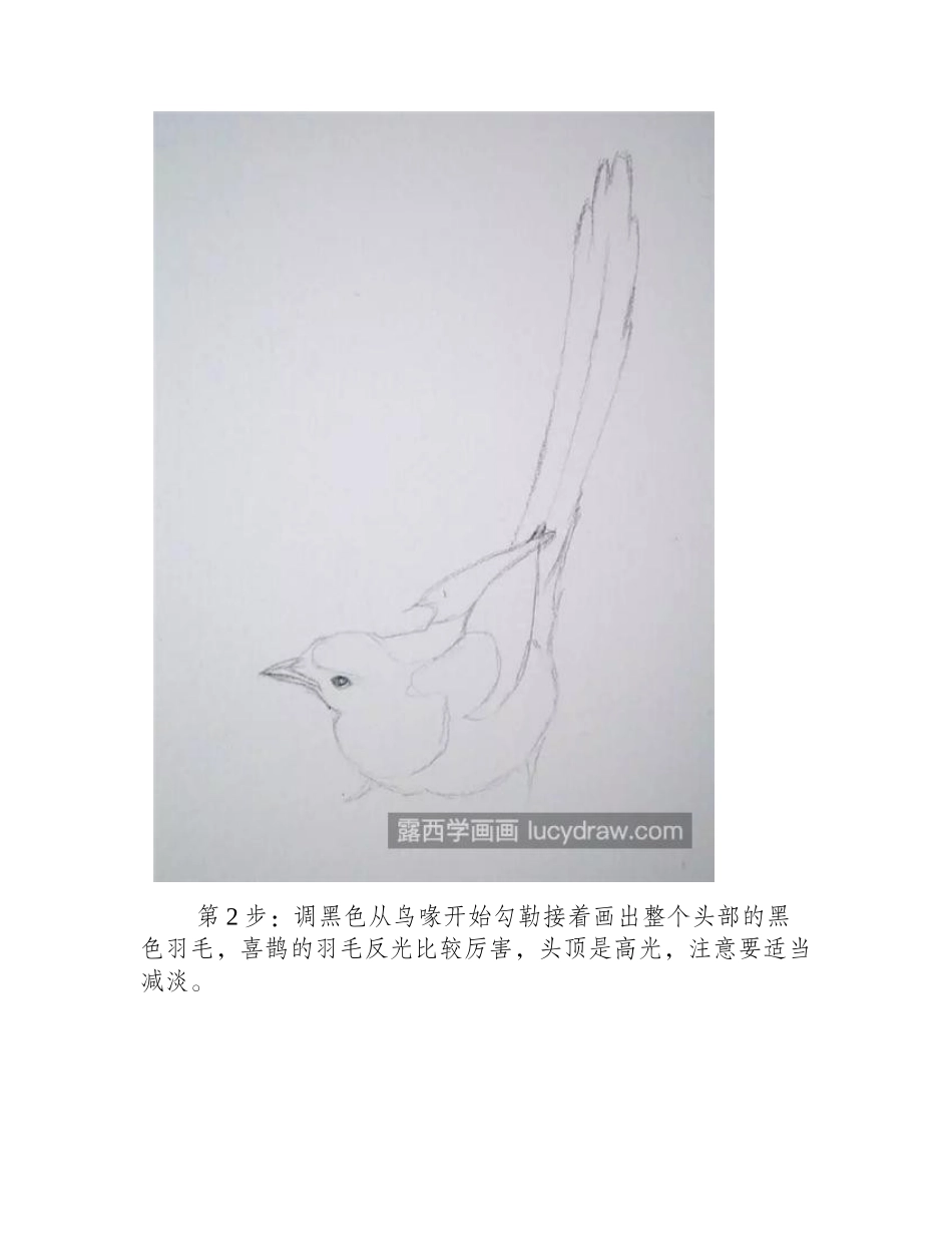喜鹊怎么画_具体的画法是什么_水彩画教程_第2页