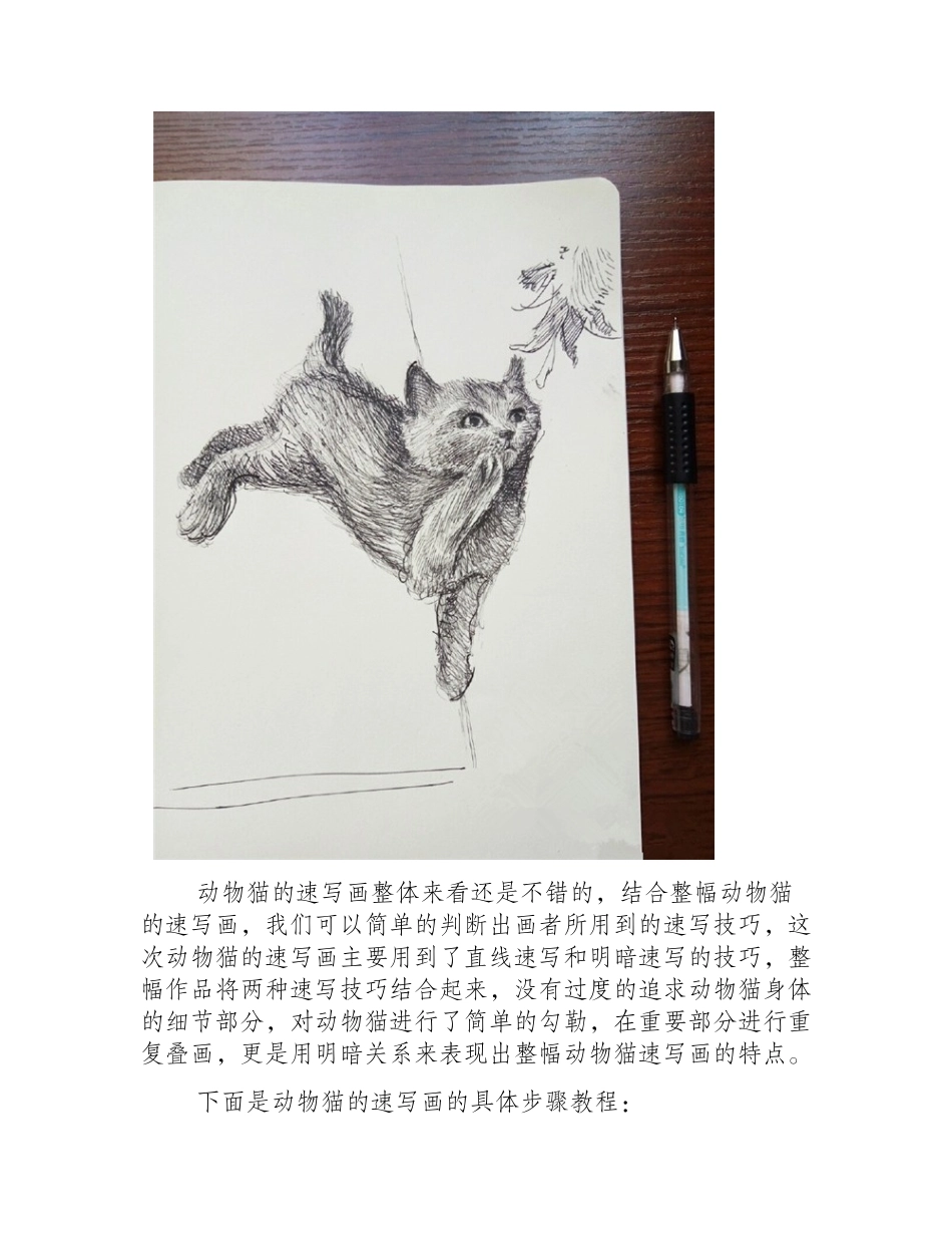 速写教程：动物猫的速写教程速写教程_第2页