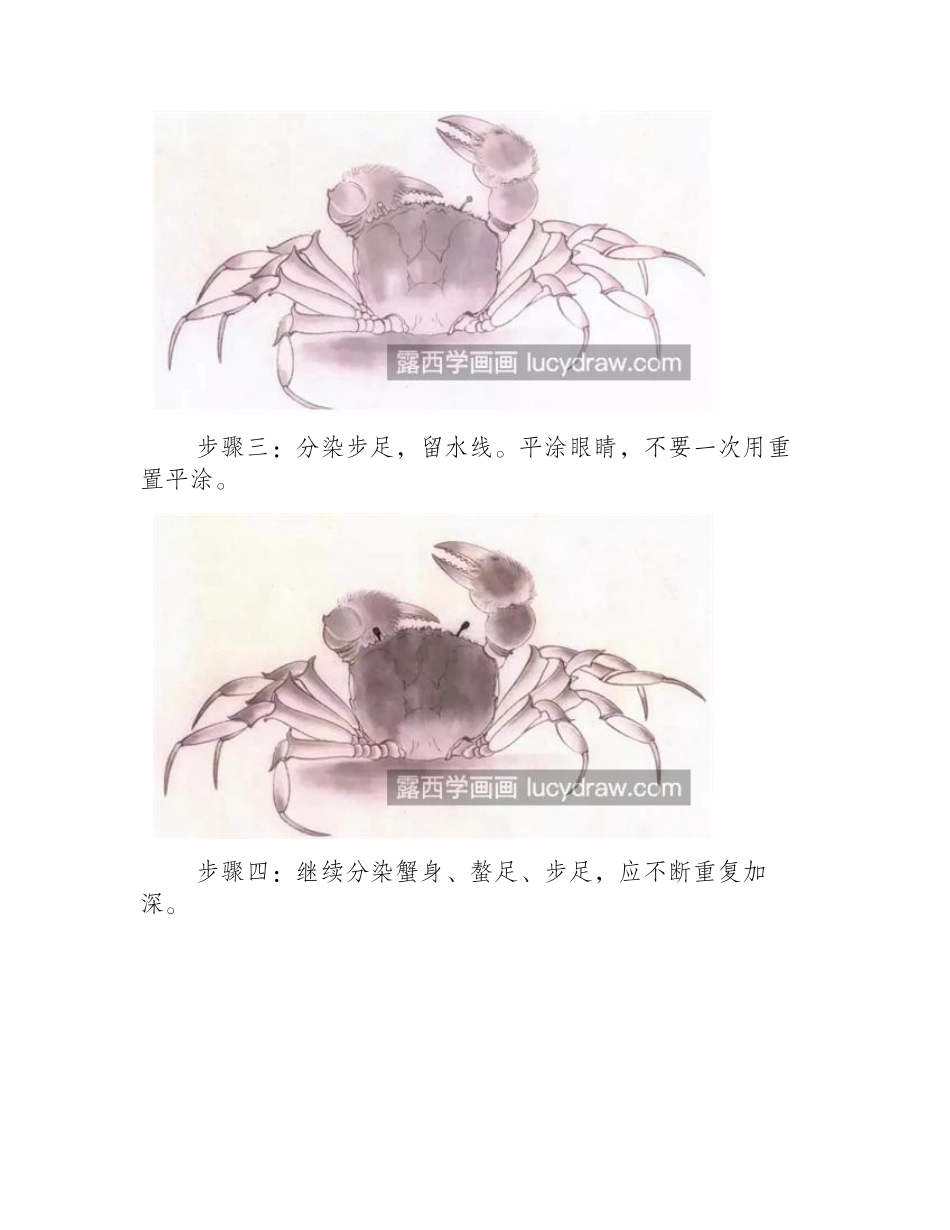 虾蟹怎么画_着染步骤分别是什么_工笔画教程_第2页