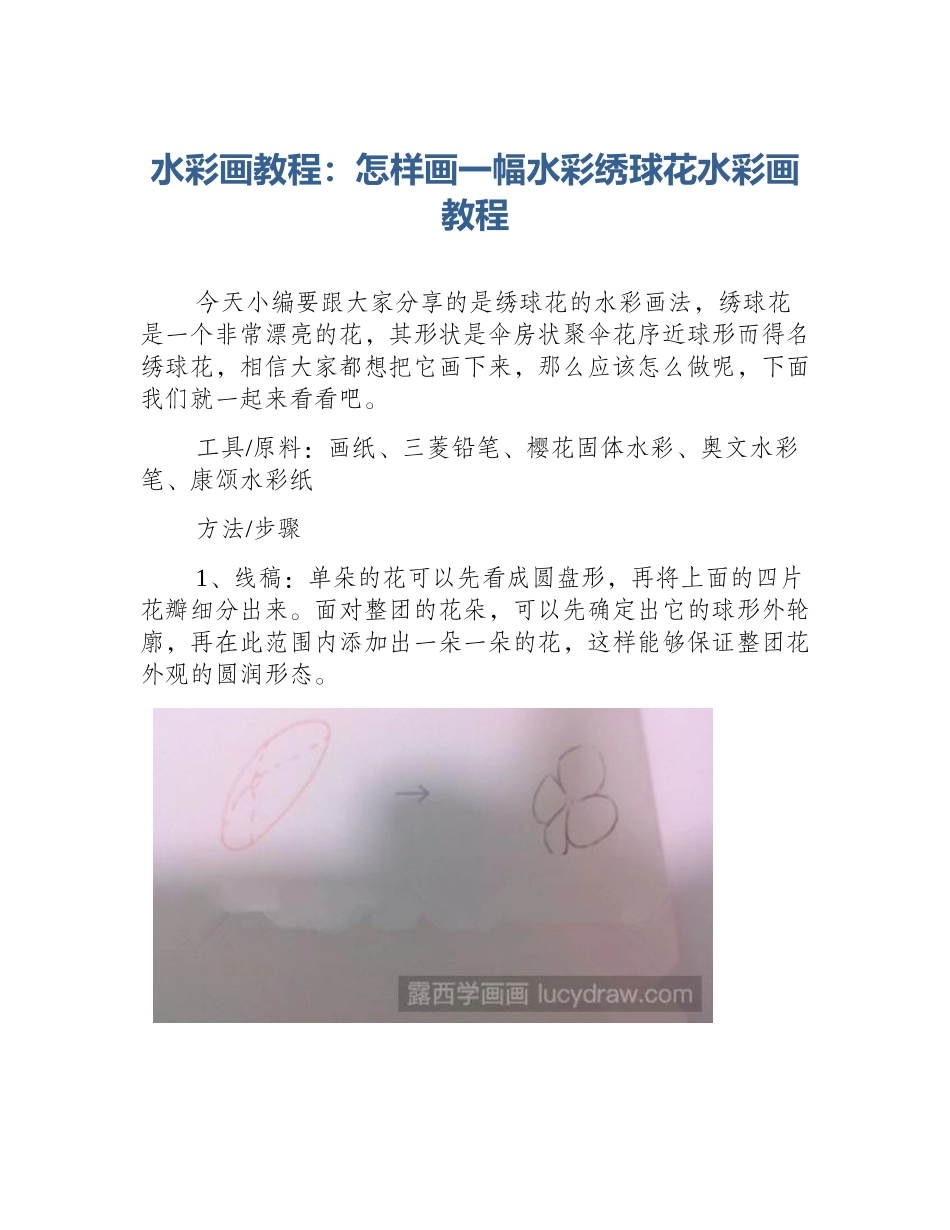 水彩画教程：怎样画一幅水彩绣球花水彩画教程_第1页