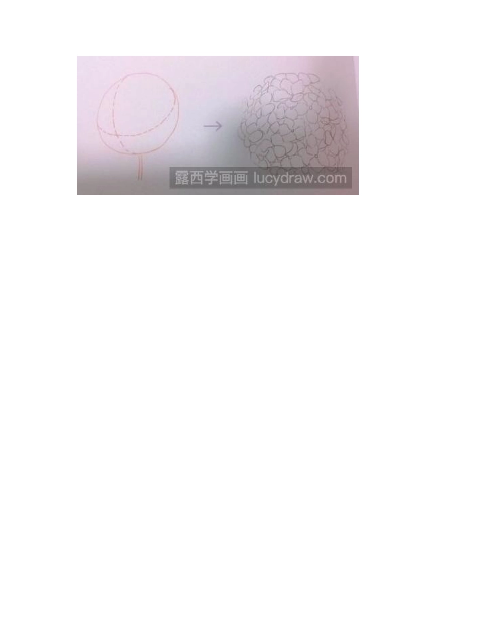 水彩画教程：怎样画一幅水彩绣球花水彩画教程_第2页