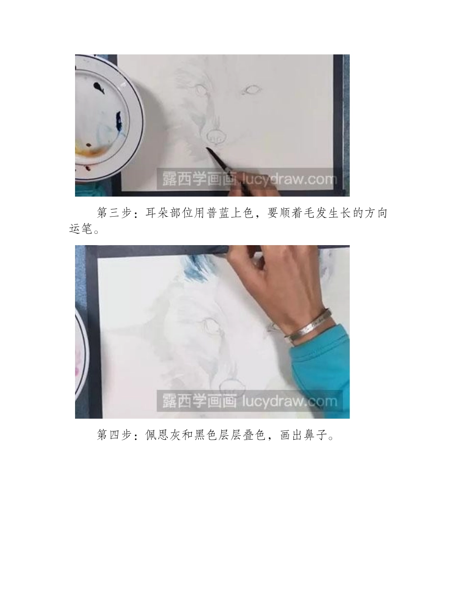 水彩画教程-怎么绘制雪狐水彩画教程_第2页