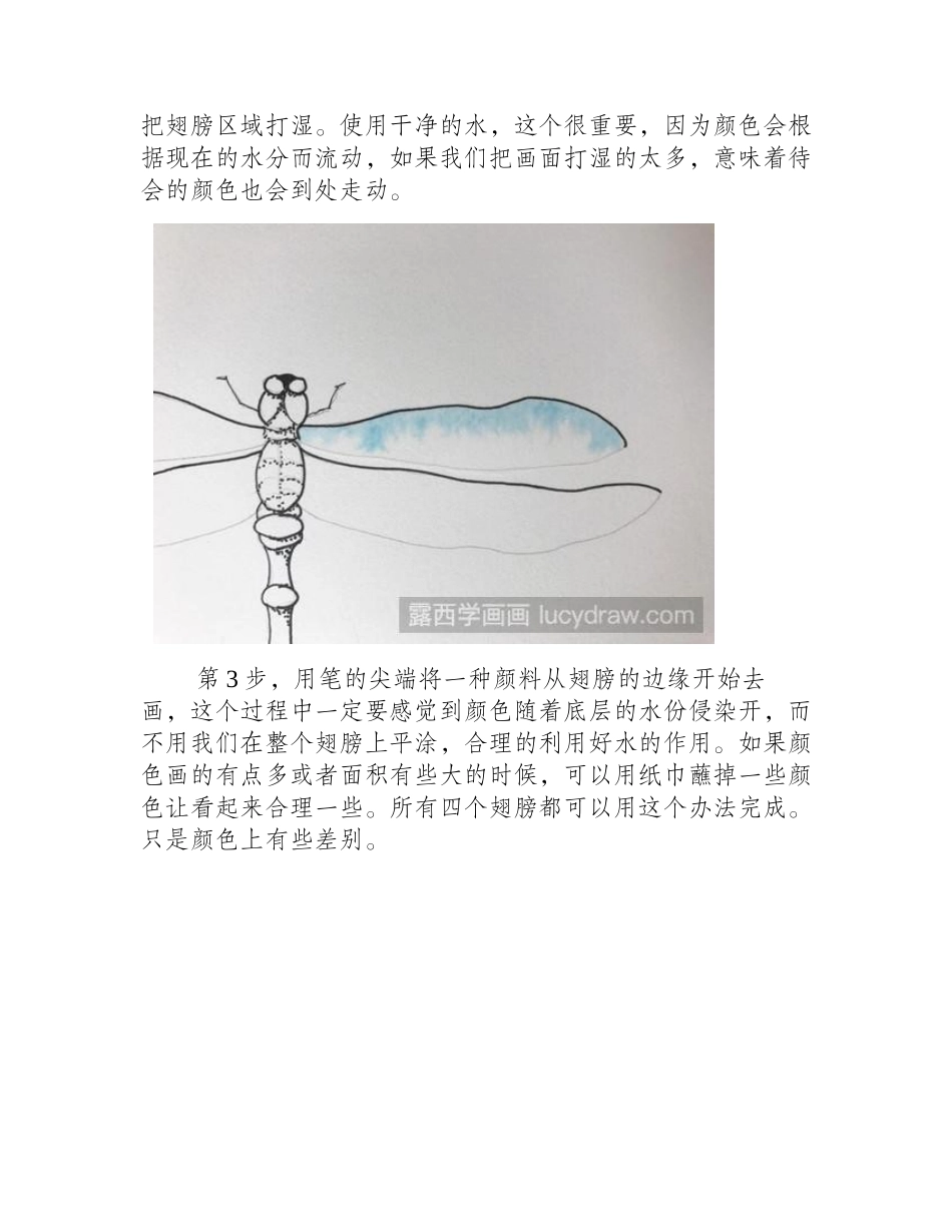 水彩蜻蜓怎么画水彩画教程_第2页