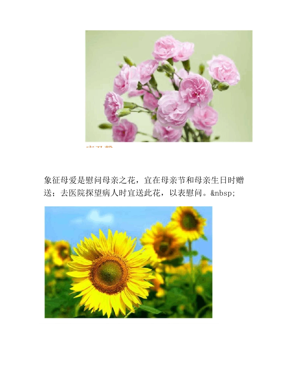 各种花卉的象征意义_第2页