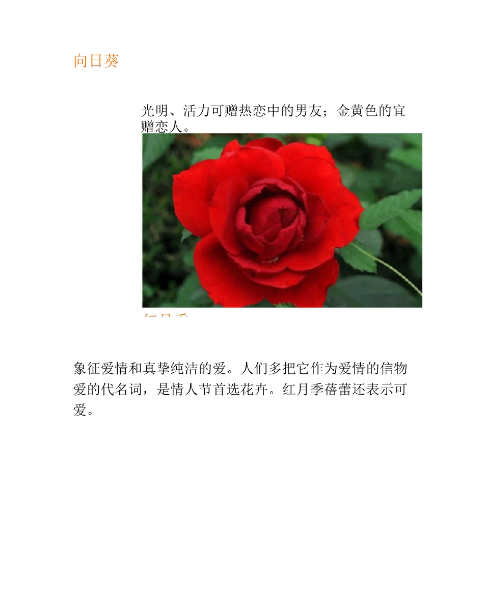 各种花卉的象征意义_第3页