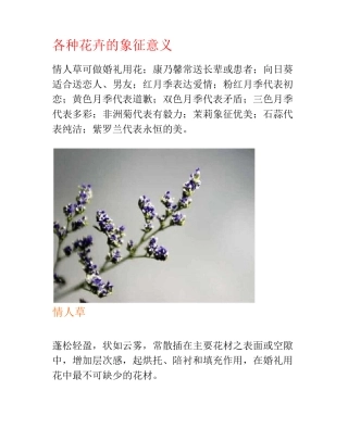 各种花卉的象征意义