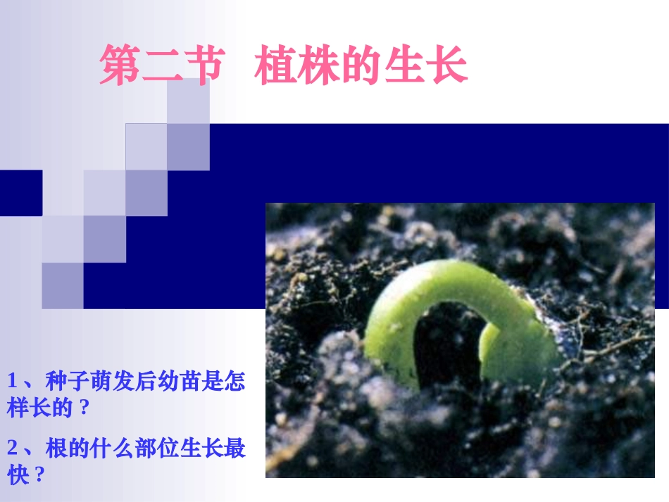 植株的生长1_第1页
