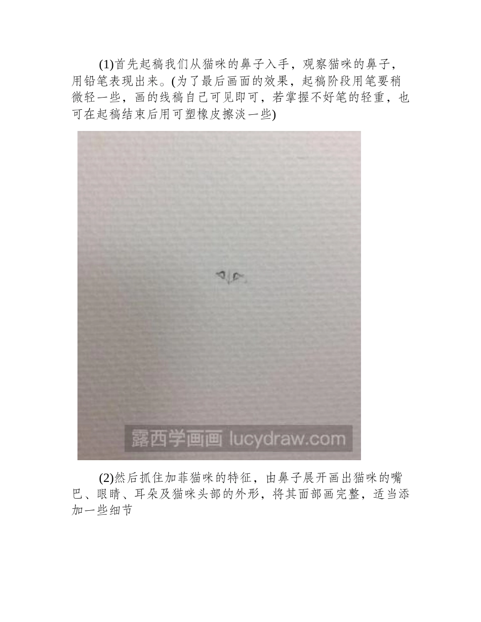 水彩画小奶猫教程水彩画教程_第2页