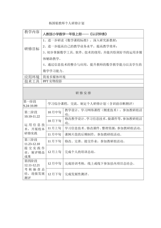 杨国银教师个人研修计划