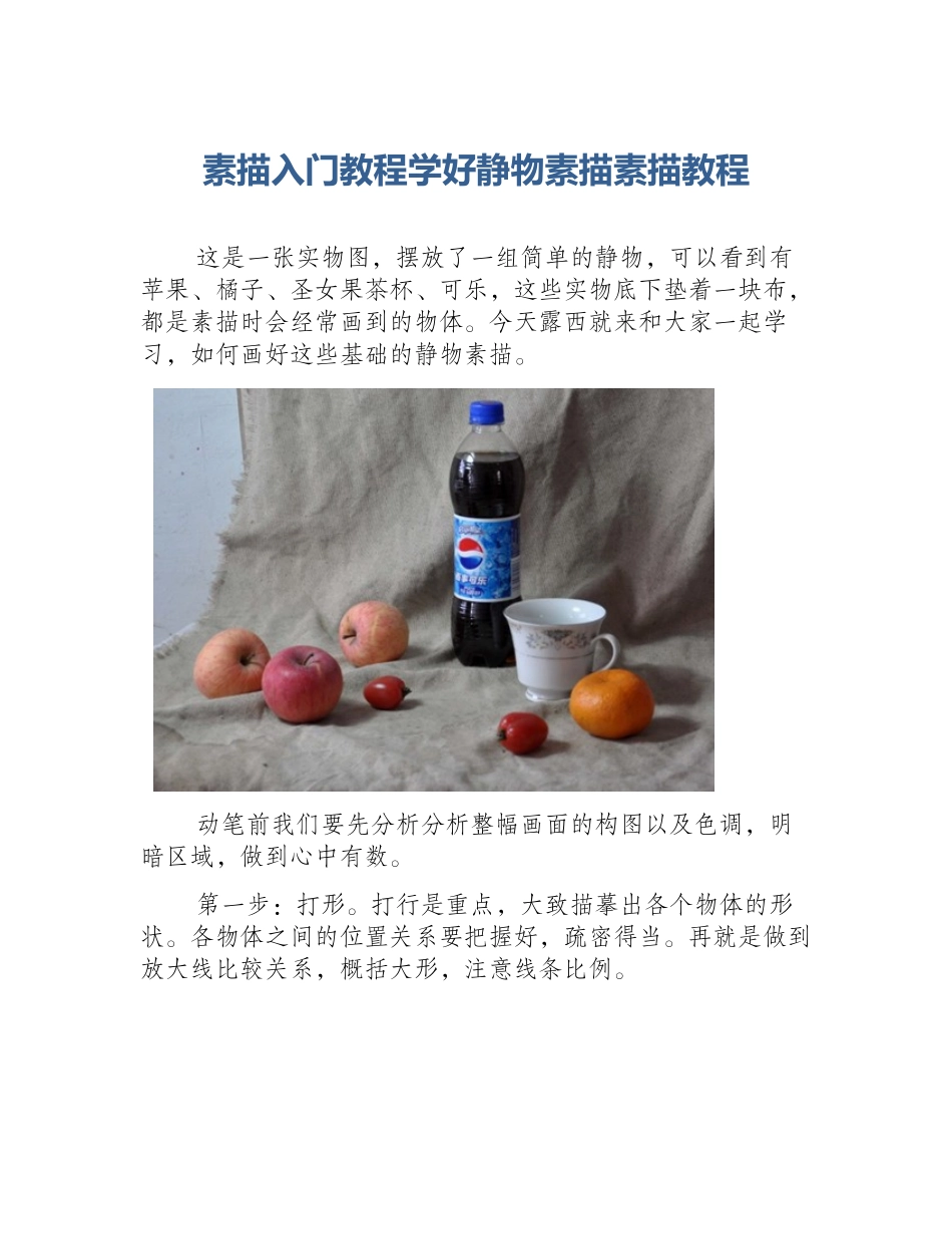 素描入门教程学好静物素描素描教程_第1页