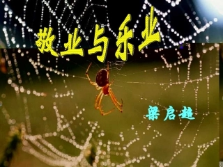 7敬业与乐业