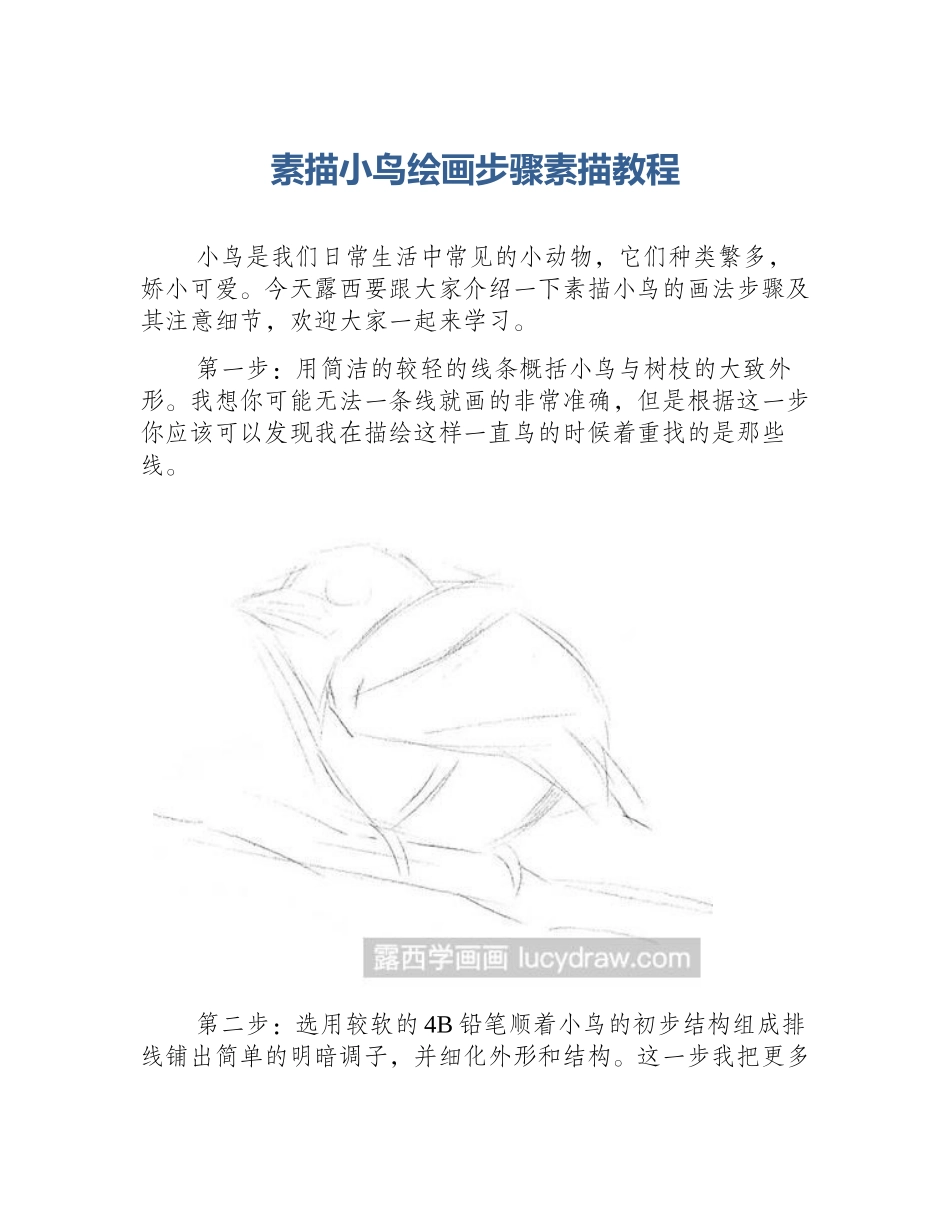 素描小鸟绘画步骤素描教程_第1页