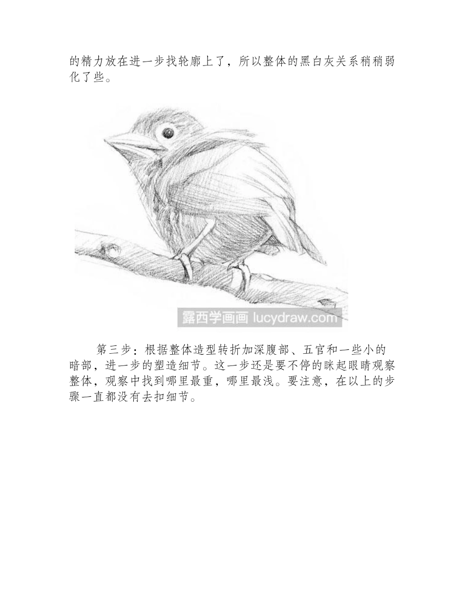 素描小鸟绘画步骤素描教程_第2页