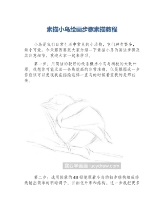 素描小鸟绘画步骤素描教程